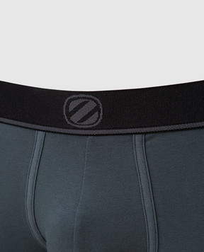 Ermenegildo Zegna Gray Trunks N3LC61200
