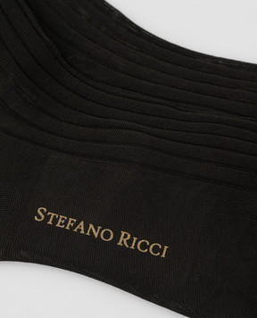 Stefano Ricci Dark Brown Ribbed Socks C009UN0001C009UN