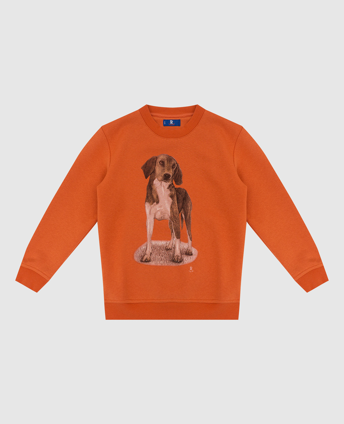 

Children's orange sweatshirt with print Stefano Ricci, Оранжевый