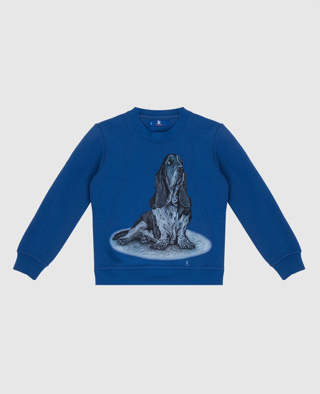 

Children's blue sweatshirt with print Stefano Ricci, Синий